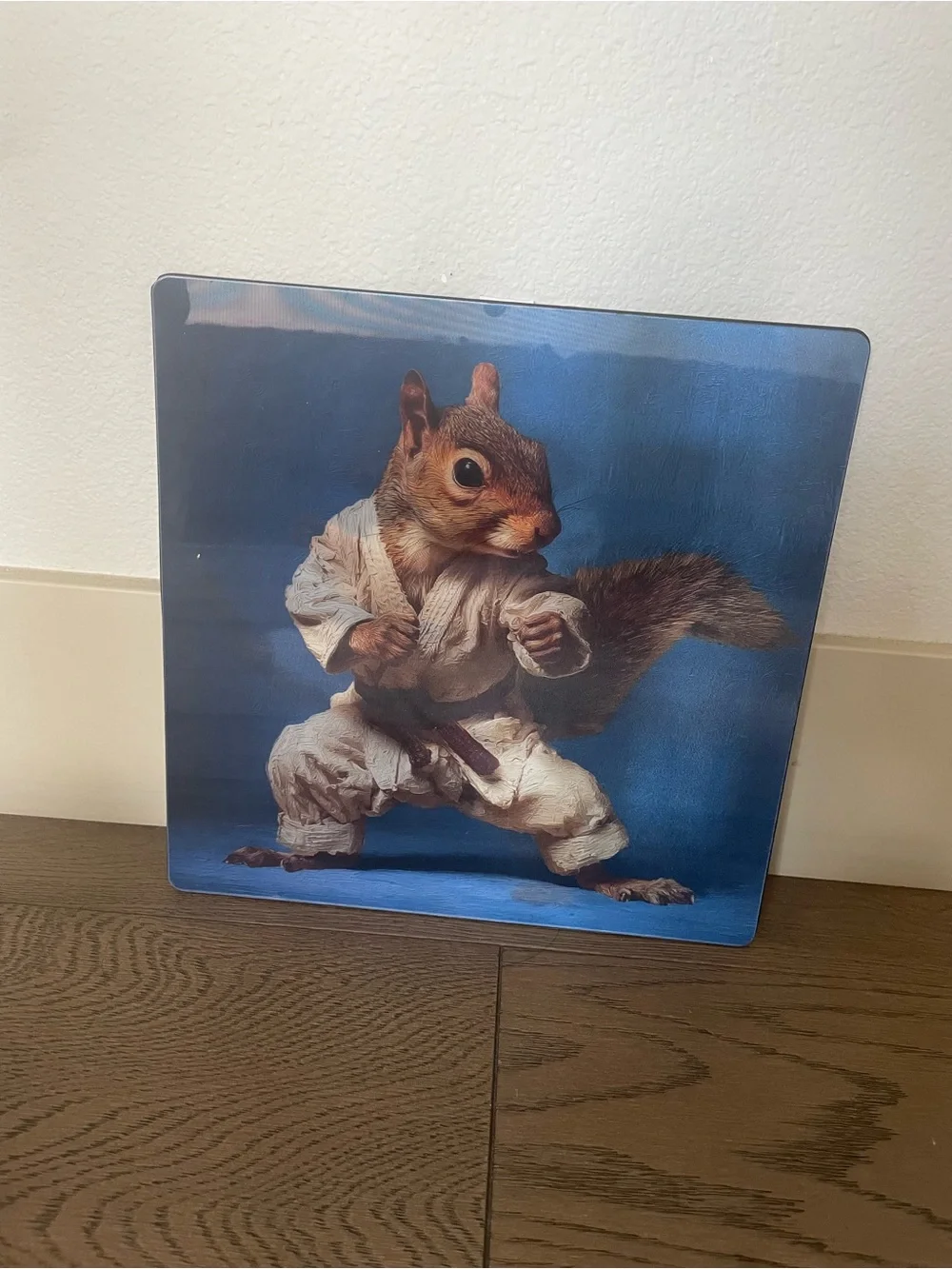 Blue Squirrel Martial Arts Wall Art - Unbranded